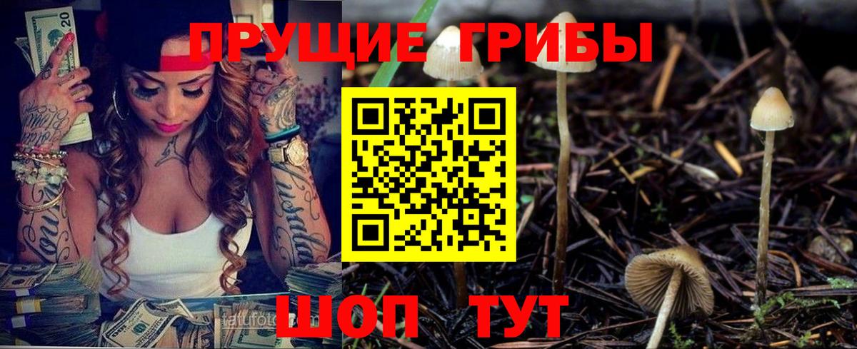 Галлюциногенные грибы Cubensis  закладки  Галлюциногенные грибы мицелий  Красноармейск  Вход с VPN 