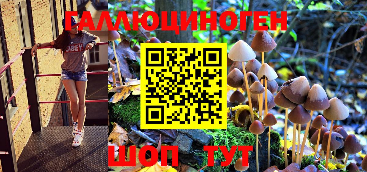 Псилоцибиновые грибы Magic Shrooms Красноармейск